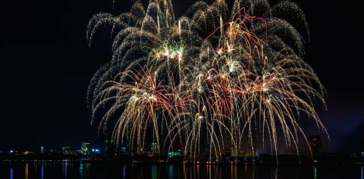 danang-international-firework-festival-lights-up-the-night-sky-2
